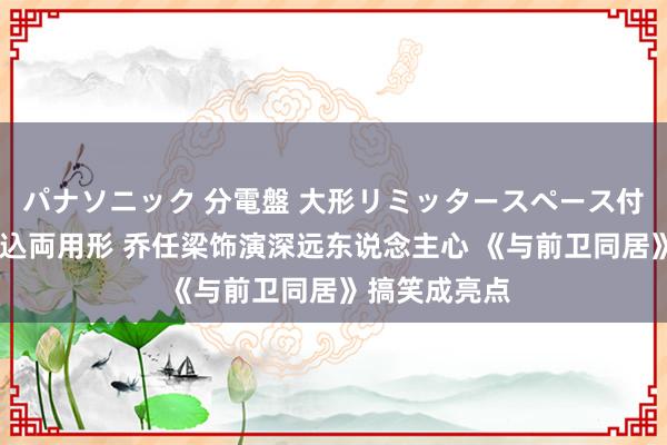 パナソニック 分電盤 大形リミッタースペース付 露出・半埋込両用形 乔任梁饰演深远东说念主心 《与前卫同居》搞笑成亮点