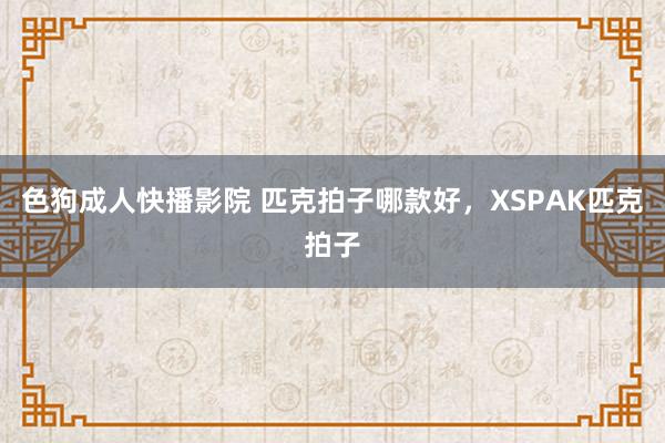 色狗成人快播影院 匹克拍子哪款好，XSPAK匹克拍子