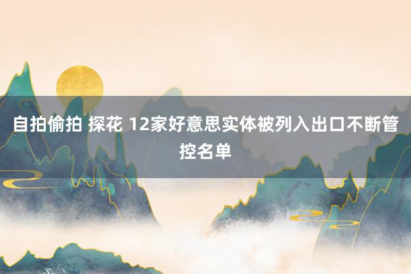 自拍偷拍 探花 12家好意思实体被列入出口不断管控名单