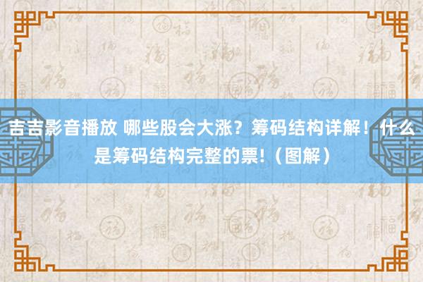 吉吉影音播放 哪些股会大涨？筹码结构详解！什么是筹码结构完整的票!（图解）