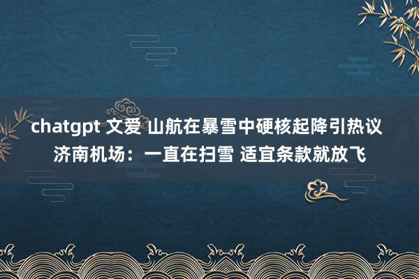 chatgpt 文爱 山航在暴雪中硬核起降引热议 济南机场：一直在扫雪 适宜条款就放飞